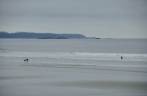 Surfistas e seu cachorro enfrentam as águas geladas de praia em Tofino, na costa oeste de Vancouver Island, litoral da British Columbia, oeste do Canadá